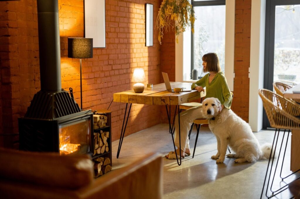 Seria L i E pokazują, że oferta ThinkPad jest szeroka i obejmuje także segment ekonomiczny